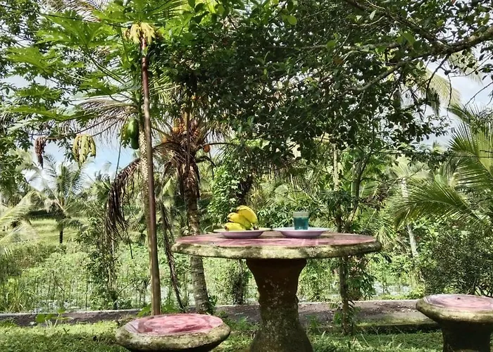 Padukuhan Prema Shanti Accommodatie bij particulieren Penebel